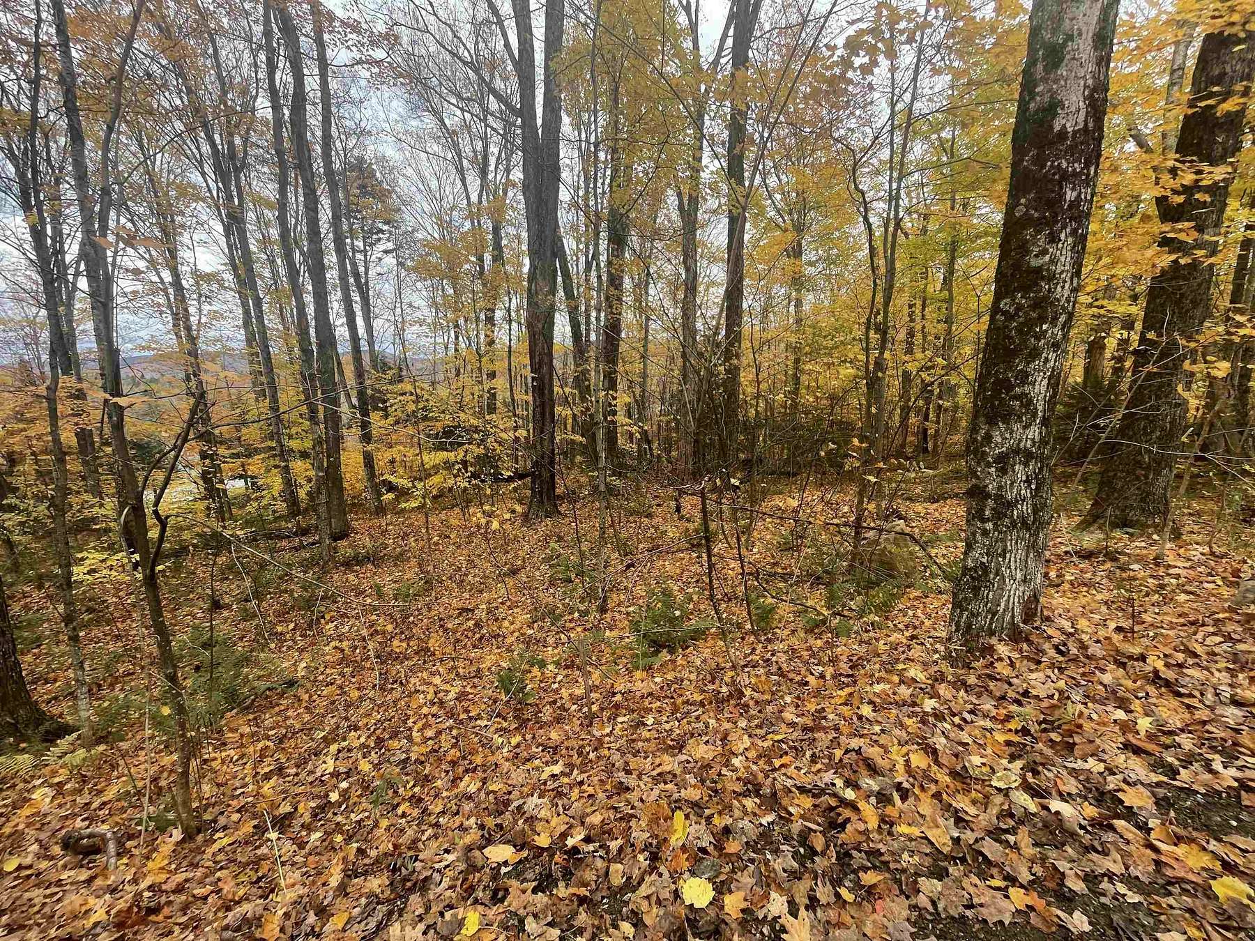 1.1 Acres of Residential Land for Sale in Killington, Vermont