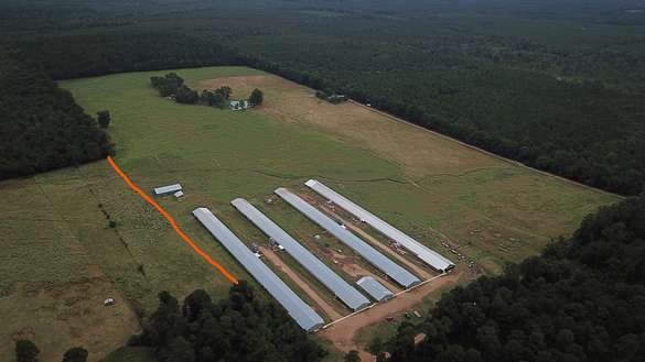 80 Acres of Agricultural Land for Sale in Emmet, Arkansas
