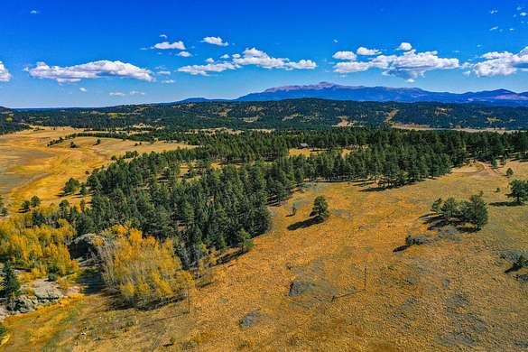 2.6 Acres of Land for Auction in Florissant, Colorado