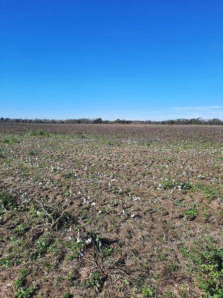 160 Acres of Agricultural Land for Sale in Marianna, Florida