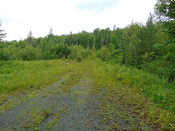10.7 Acres of Land for Sale in Victory, Vermont