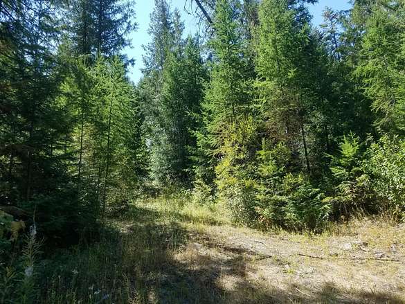 20 Acres of Land for Sale in Addy, Washington