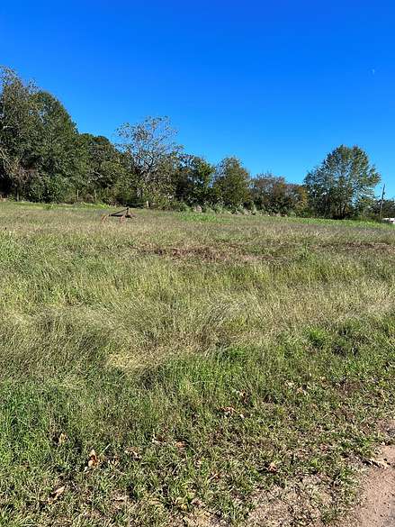 0.48 Acres of Residential Land for Sale in Bloomburg, Texas