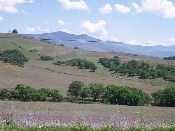 30 Acres of Land for Sale in Ashland, Oregon