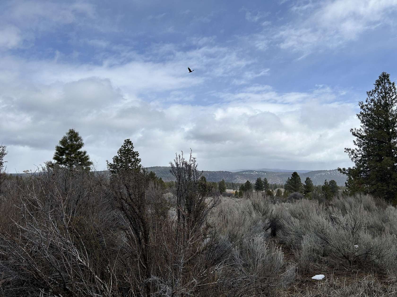 1 Acre of Residential Land for Sale in Chiloquin, Oregon