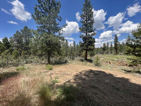 45.5 Acres of Recreational Land for Sale in Bonanza, Oregon