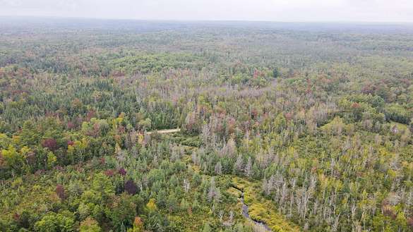 39.7 Acres of Recreational Land for Sale in Beecher, Wisconsin