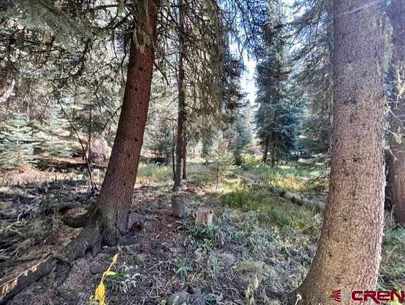 1 Acre of Residential Land for Sale in Bayfield, Colorado