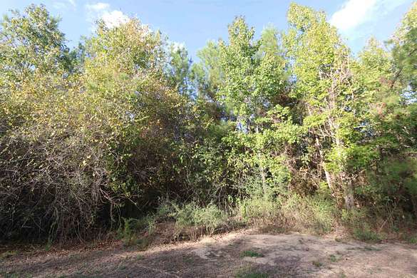62.7 Acres of Land for Sale in Kirbyville, Texas