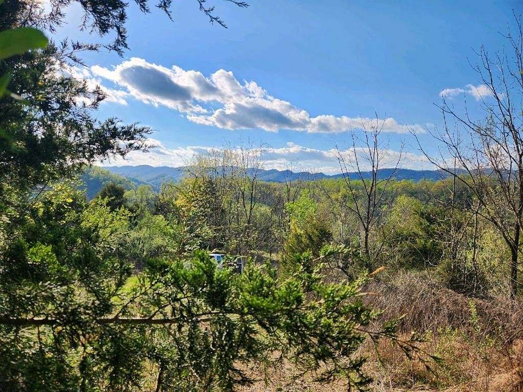96 Acres of Recreational Land & Farm for Sale in Hiltons, Virginia