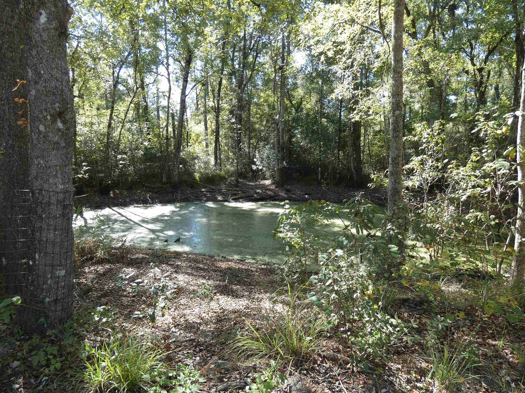 4.3 Acres of Land for Sale in Crawfordville, Florida