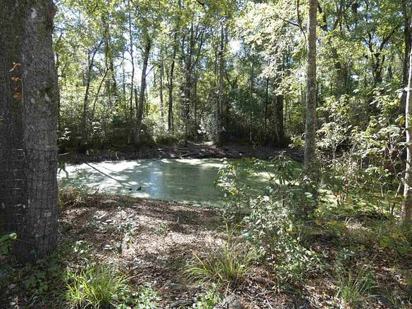 4.25 Acres of Land for Sale in Crawfordville, Florida