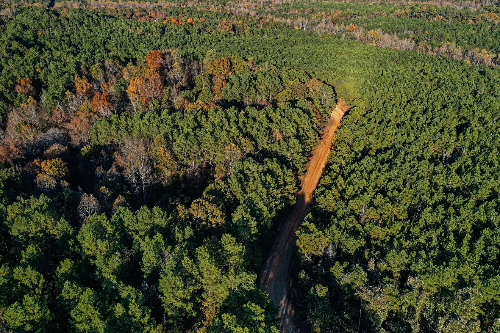 243 Acres of Recreational Land for Sale in New Albany, Mississippi