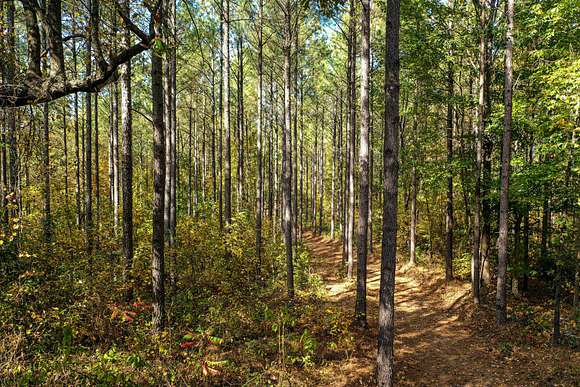 243 Acres of Recreational Land for Sale in New Albany, Mississippi