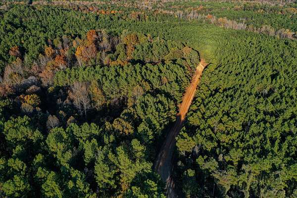 243 Acres of Recreational Land for Sale in New Albany, Mississippi