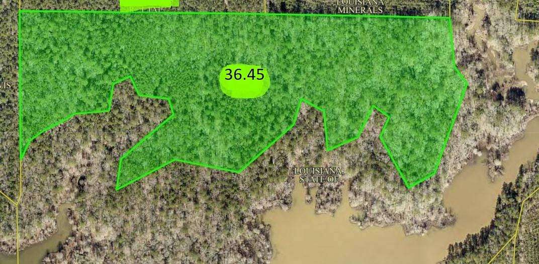36.5 Acres of Land for Sale in Florien, Louisiana