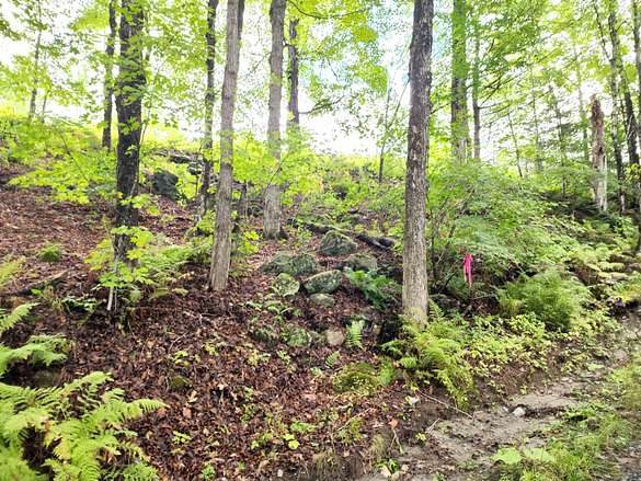 0.39 Acres of Land for Sale in Concord, Vermont