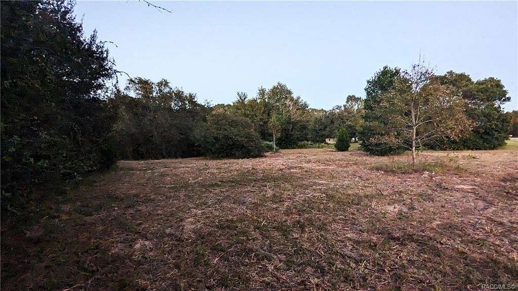 2 Acres of Residential Land for Sale in Inverness, Florida