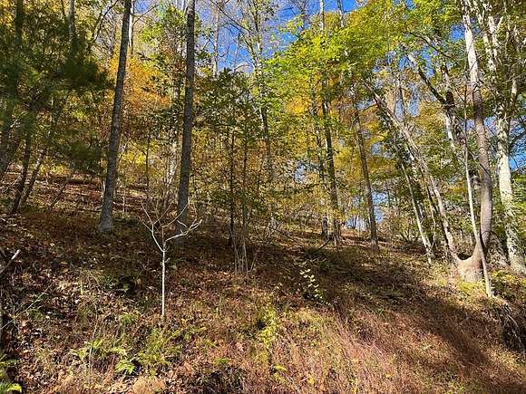 5.44 Acres of Land for Sale in Galax, Virginia