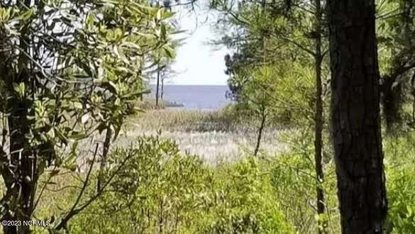 5.3 Acres of Residential Land for Sale in Shiloh, North Carolina