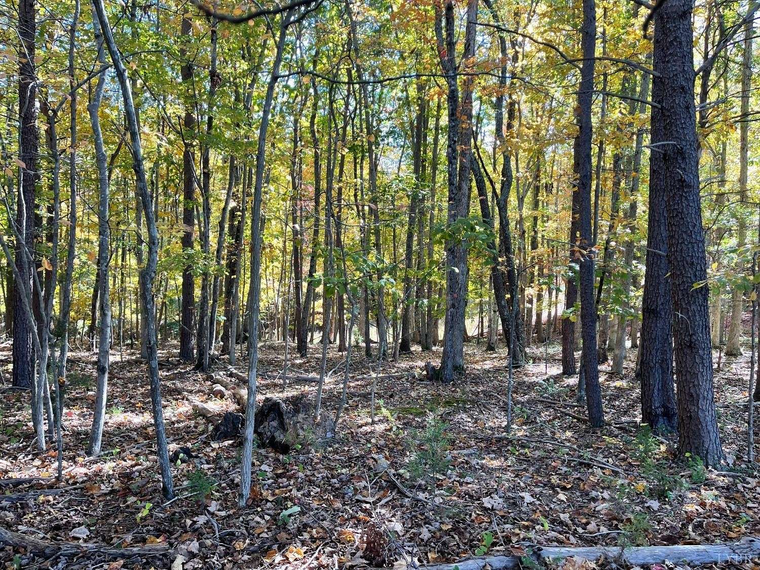 1.71 Acres of Land for Sale in Lynch Station, Virginia