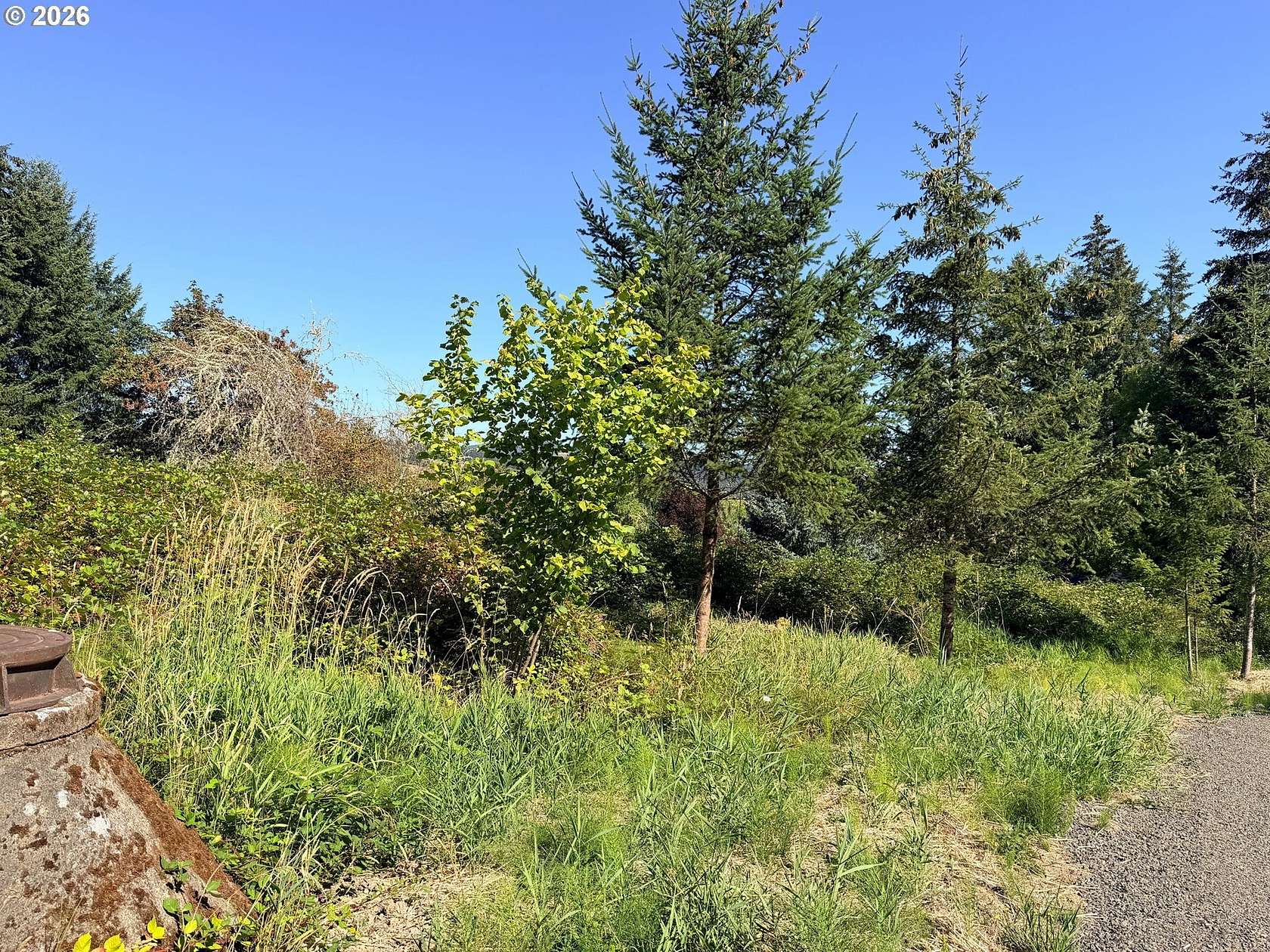 Residential Land for Sale in Gaston, Oregon