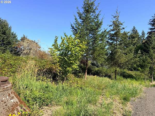 Residential Land for Sale in Gaston, Oregon