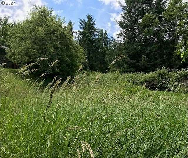0.35 Acres of Residential Land for Sale in Gaston, Oregon