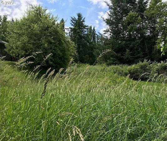 0.35 Acres of Residential Land for Sale in Gaston, Oregon