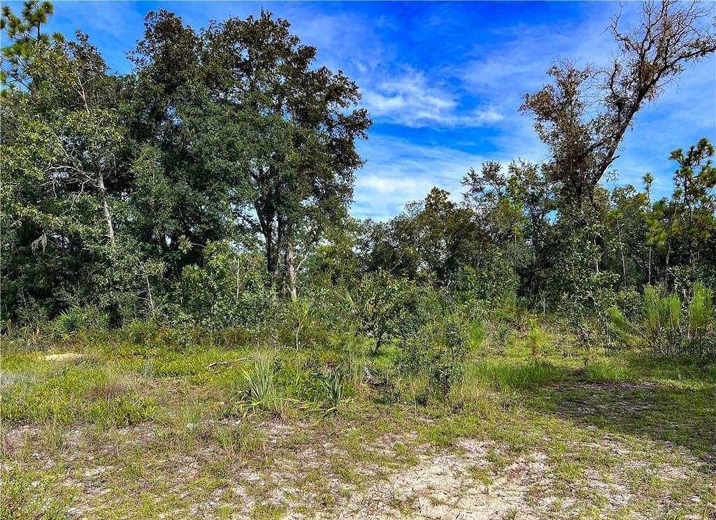 Residential Land for Sale in Homosassa, Florida