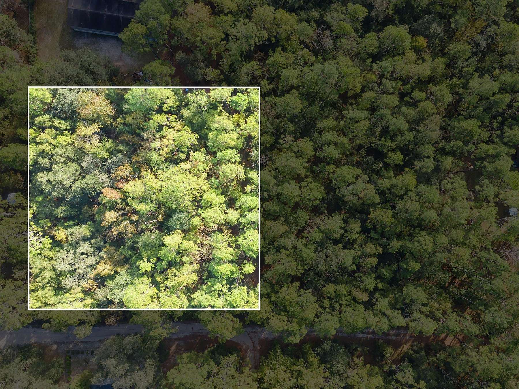 0.84 Acres of Residential Land for Sale in Tallahassee, Florida