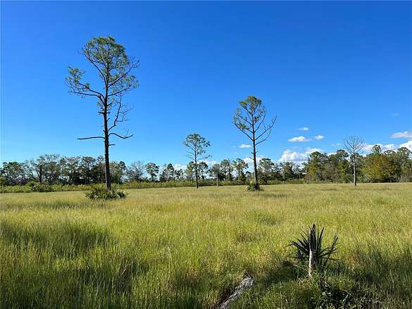 20 Acres of Recreational Land for Sale in LaBelle, Florida