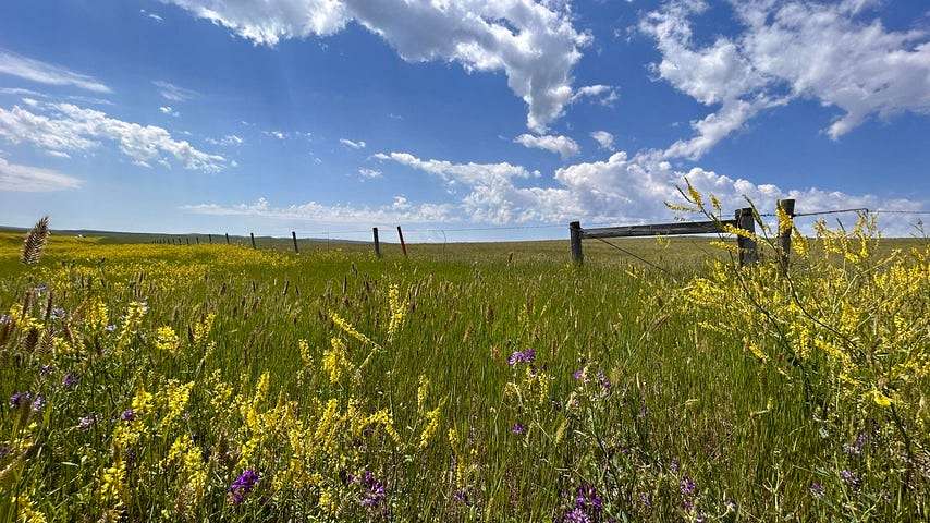 71 Acres of Improved Land for Sale in Moorcroft, Wyoming