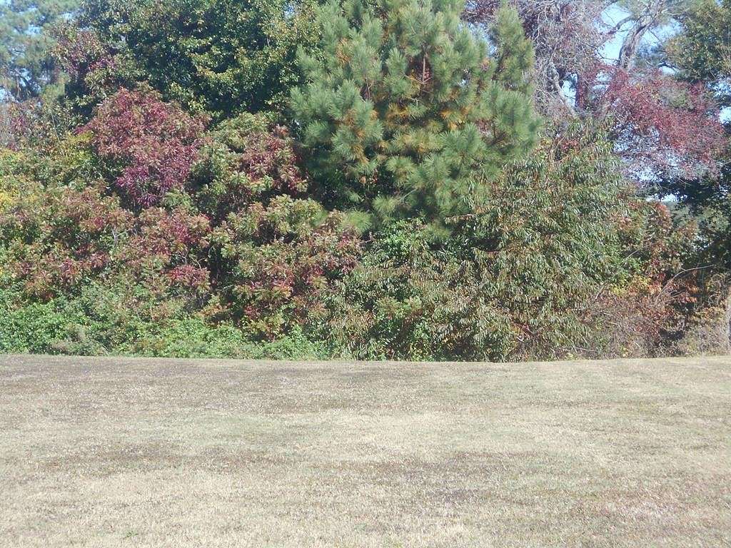 0.16 Acres of Residential Land for Sale in Cape Charles, Virginia