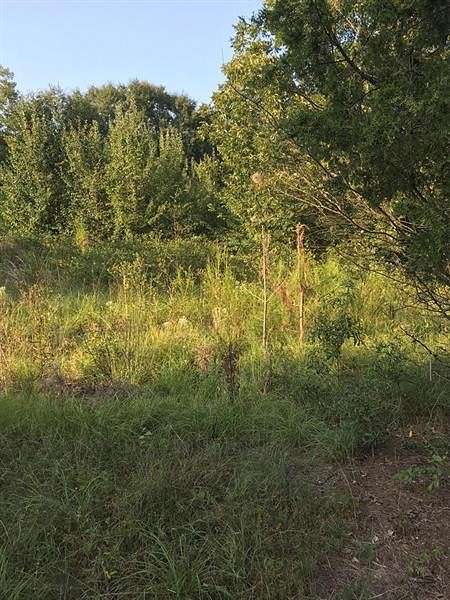 7.2 Acres of Land for Sale in Smiths Station, Alabama