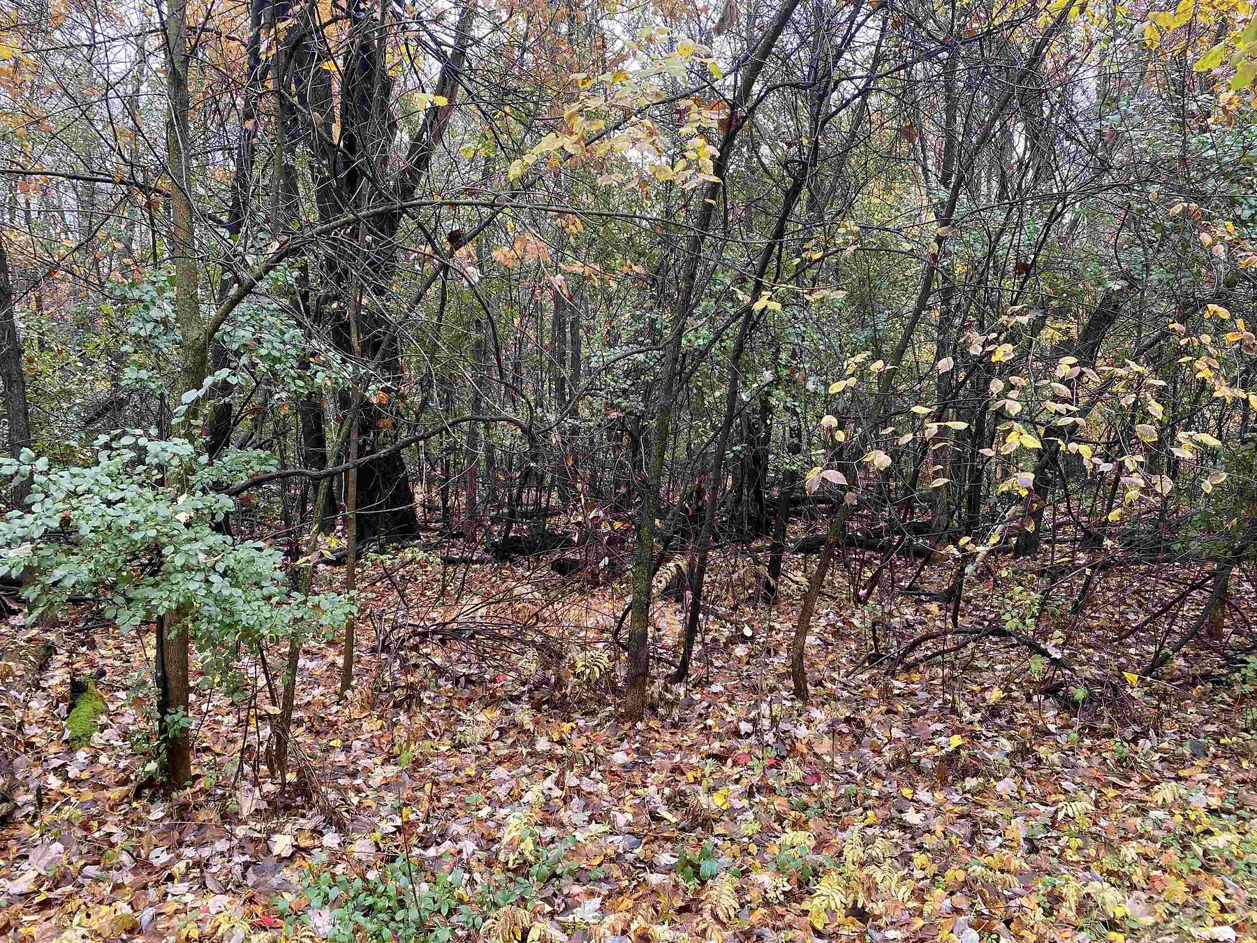 1.6 Acres of Residential Land for Sale in Stevens Point, Wisconsin