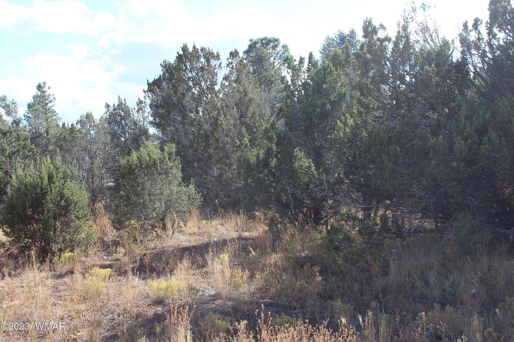 0.29 Acres of Residential Land for Sale in Vernon, Arizona
