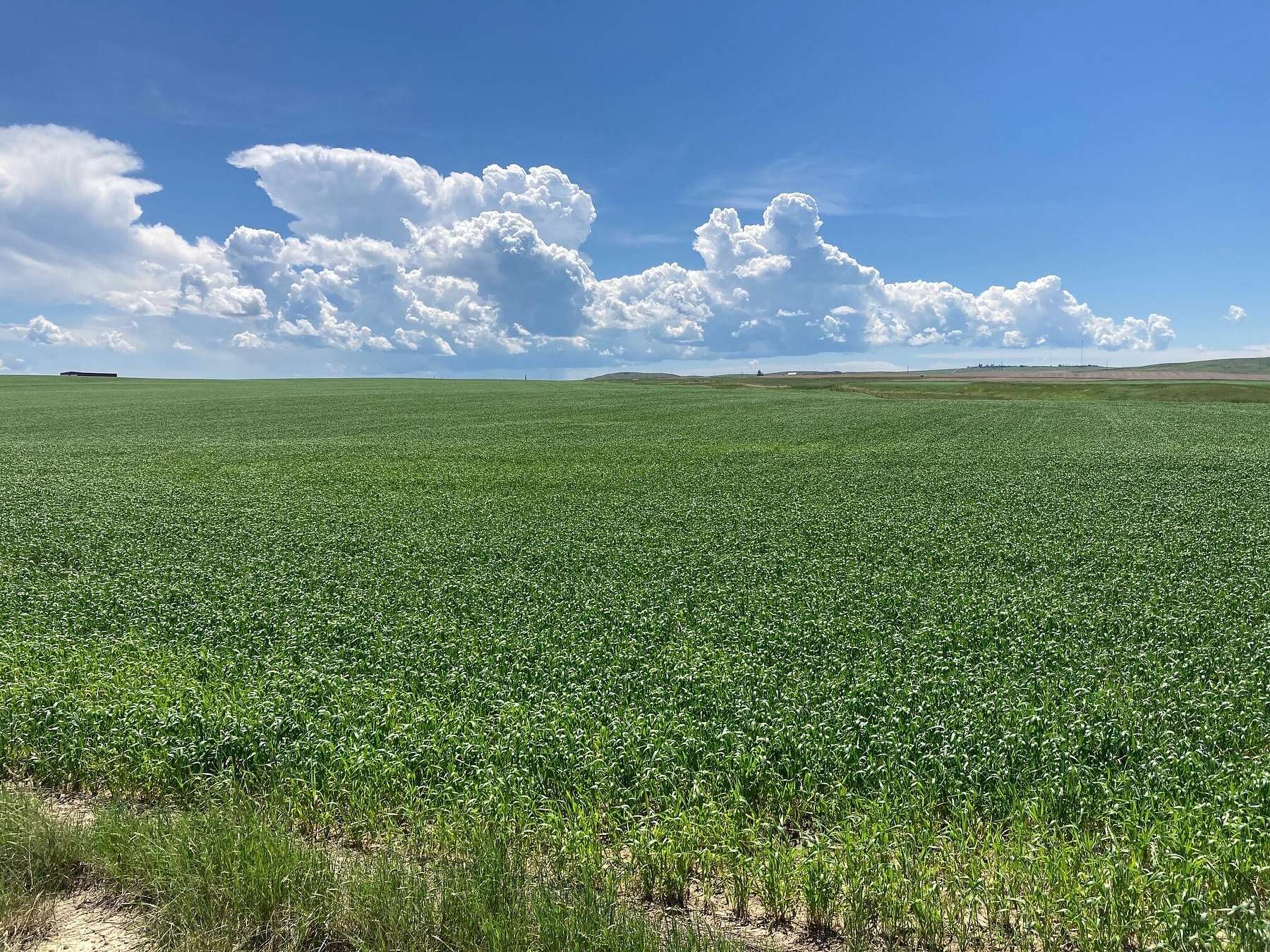 Residential Land for Sale in Havre, Montana