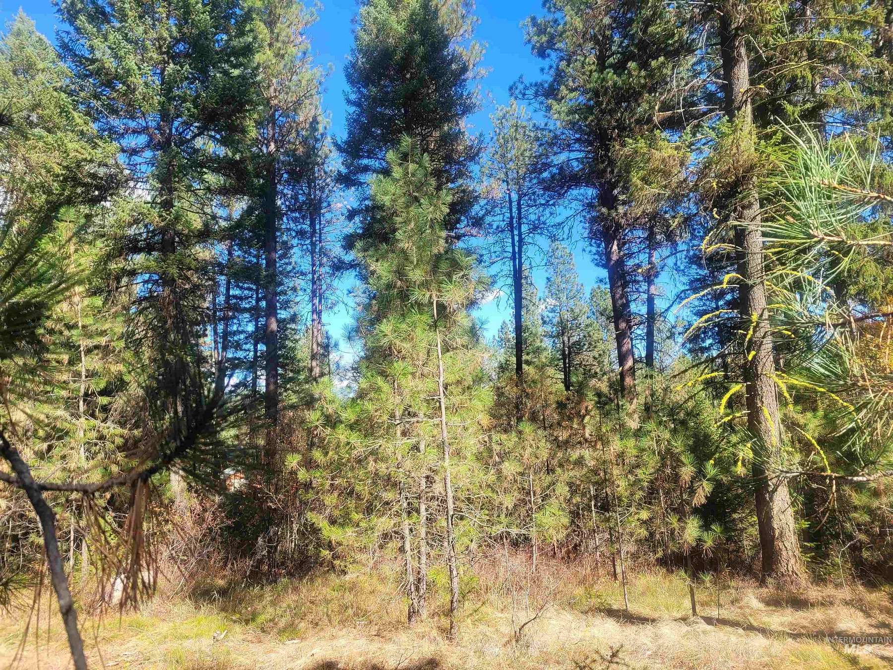 0.81 Acres of Residential Land for Sale in New Meadows, Idaho