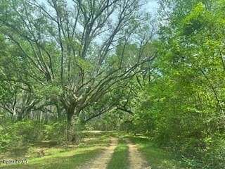 5.7 Acres of Residential Land for Sale in Westville, Florida