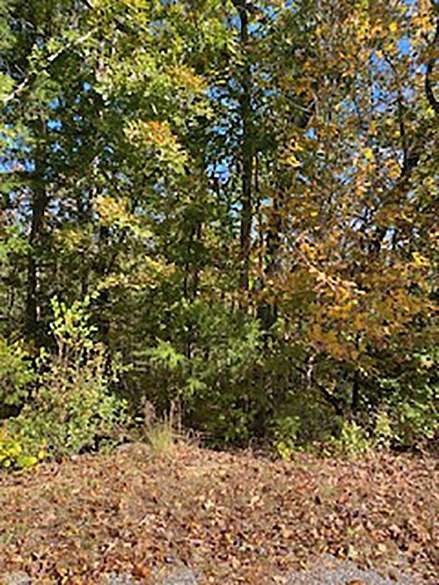 0.95 Acres of Residential Land for Sale in Cherokee Village, Arkansas