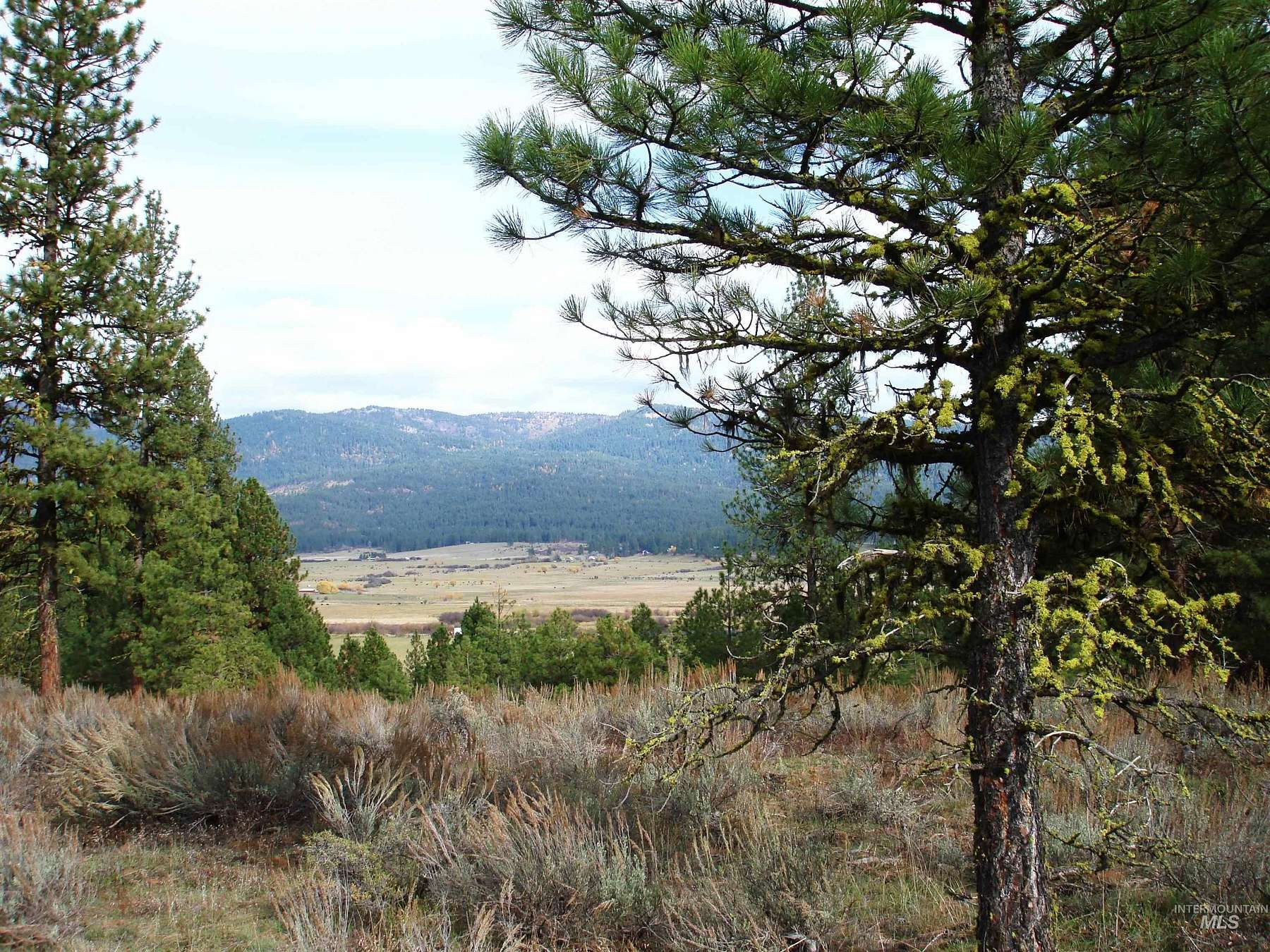 0.68 Acres of Residential Land for Sale in New Meadows, Idaho