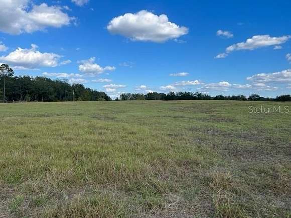 21.9 Acres of Agricultural Land for Sale in Dunnellon, Florida