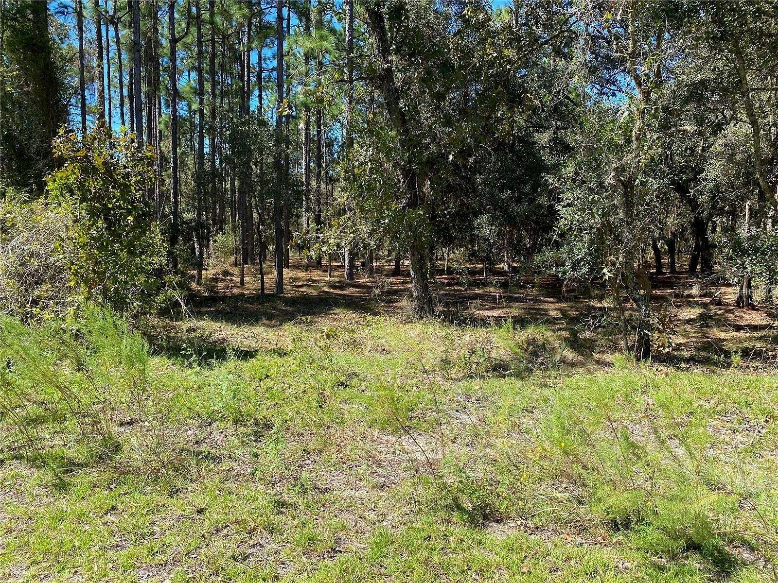 0.25 Acres of Residential Land for Sale in Dunnellon, Florida