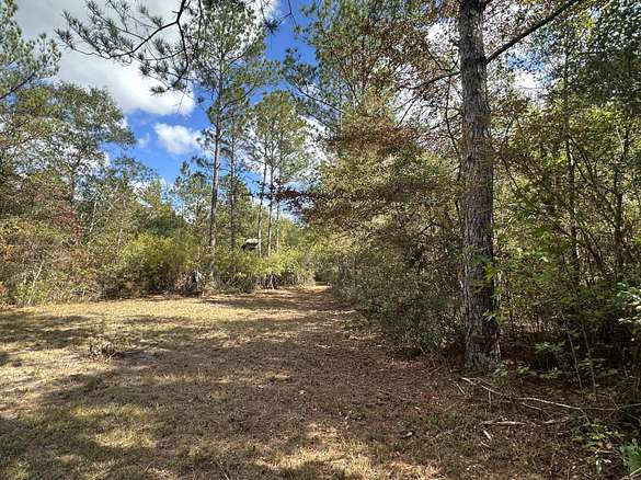 129 Acres of Recreational Land for Sale in Crestview, Florida