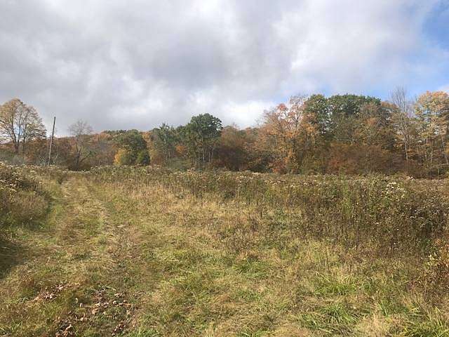 77.3 Acres of Recreational Land for Sale in Downsville, New York