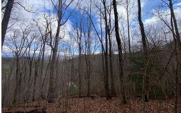 1.6 Acres of Residential Land for Sale in Young Harris, Georgia