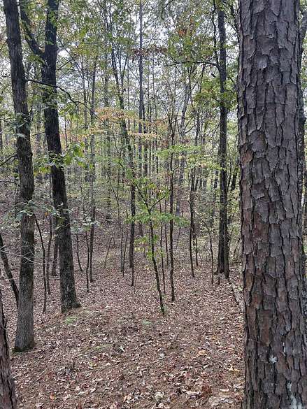 3.3 Acres of Residential Land for Sale in Fountain Hill, Arkansas
