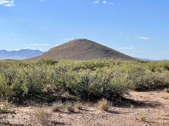 40.1 Acres of Agricultural Land for Sale in Pearce, Arizona