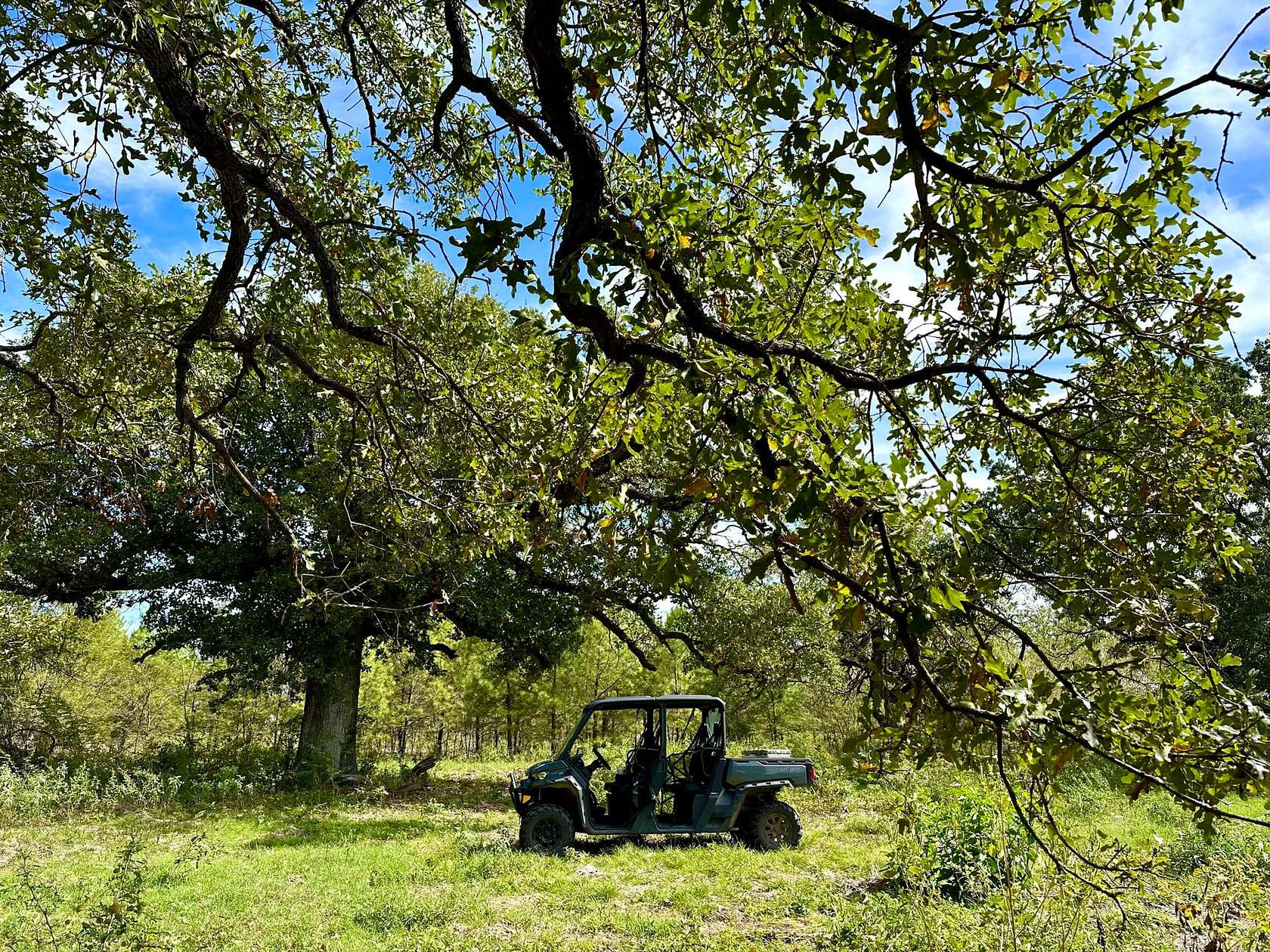 113 Acres of Land for Sale in Commerce, Texas